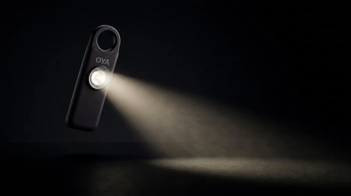 Tour: flashlight lighting a dark doorway